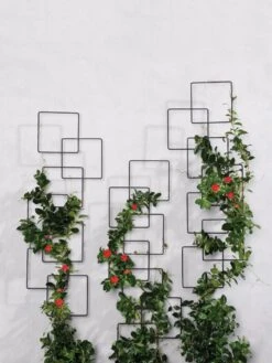 Building Blocks Wall Trellis, 45" -Gardeners 8610183 5811 tif