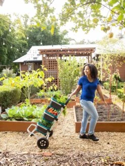 Mod Hod Trolley With Teal Mod Hods 9 Mod Hod Trolley With Teal Mod Hods -Gardeners 8610240 0070 tif