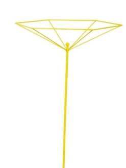 Parasol Plant Supports, Set Of 3 -Gardeners 8611129 3844 tif