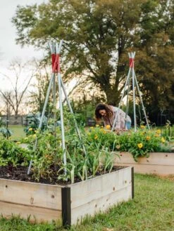 DIY Connector For Teepee Trellis 21 DIY Connector For Teepee Trellis -Gardeners 8611896 38 tif