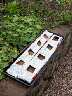 Berry Blend Coir Grow Bag, Set Of 2 -Gardeners 8611968 361 tif