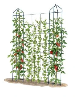 Zenith Trellis -Gardeners 8612036 art tif