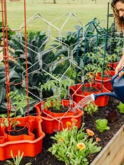 Deluxe Tomato Halos, Set Of 2 -Gardeners 8612045 161 tif