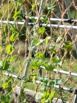 Coco Trellis Netting, 4' X 15' -Gardeners 8612050 005 tif