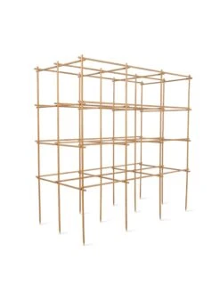 Tomato Six Pack Support -Gardeners 8613143 5402 6 pack tomato support