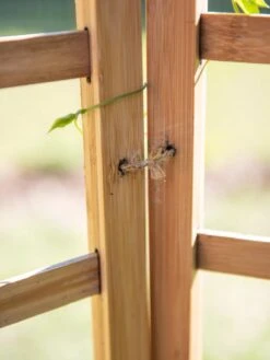 Bamboo Zig-Zag Trellis 24" X 36" -Gardeners 8613151 6483