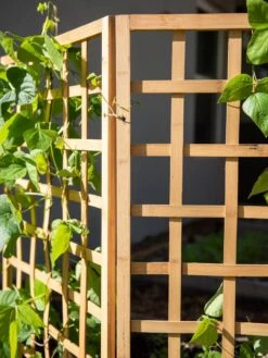 Bamboo Zig-Zag Trellis 24" X 36" -Gardeners 8613151 6491