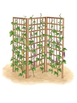 Bamboo Zig-Zag Trellis 24" X 36" -Gardeners 8613151 art flat