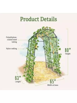Titan Squash Tunnel -Gardeners B07932DMCR plantsupport product details