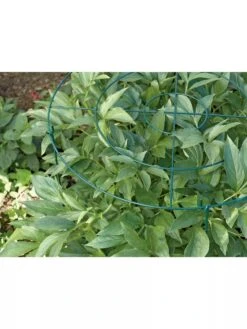 Grow Through Supports, Set Of 3 -Gardeners GS40172 01 1