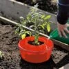 Tomato Halos, Set Of 3 1 Tomato Halos, Set Of 3 -Gardeners GS40357 01 tif