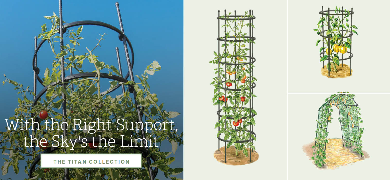 Gardeners -Gardeners YUIYUI